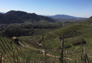 donne in bici a miane nella terra del prosecco l'8 aprile