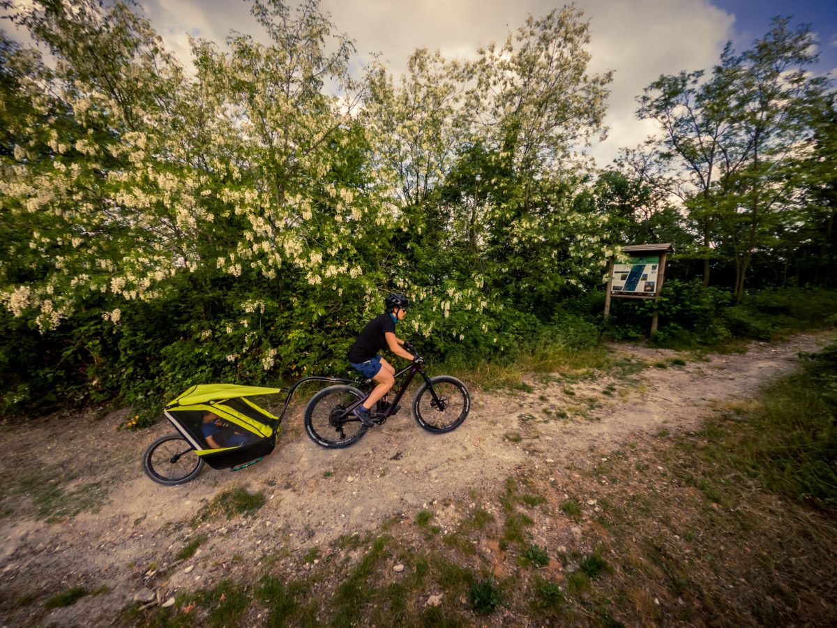 carrello bici bimbo con mamma nel bosco